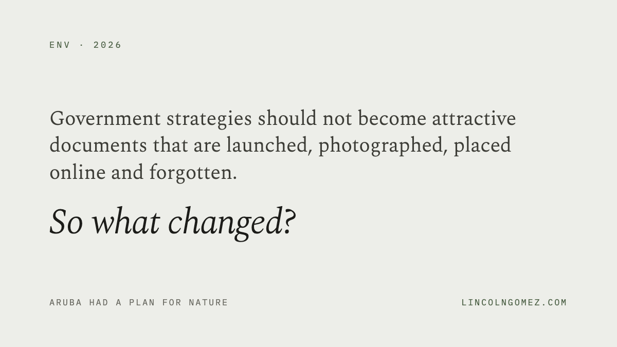 Pull quote: Government strategies should not become attractive documents that are launched, photographed, placed online and forgotten. So what changed?