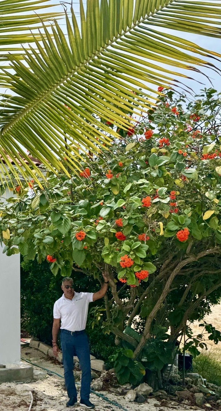 Man standing beside a flowering tree whose branches reach over a boundary wall