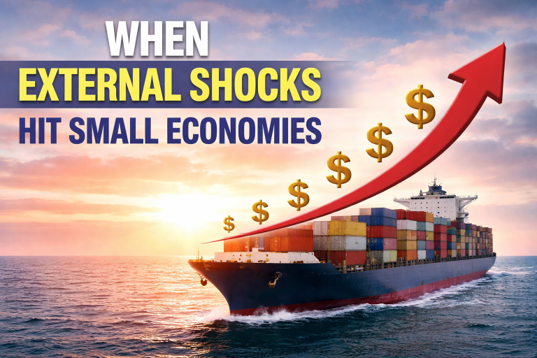 When External Shocks Hit Small Economies
